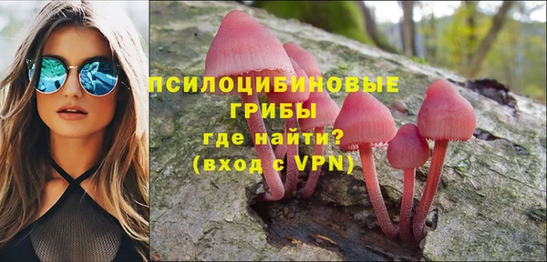 PSILOCYBIN Абаза