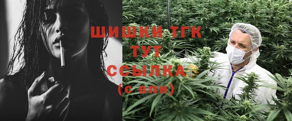 PSILOCYBIN Абаза