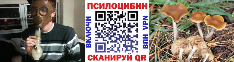 KRAKEN   Сергач  Галлюциногенные грибы ЛСД 